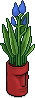 bonusrare21_1a*0